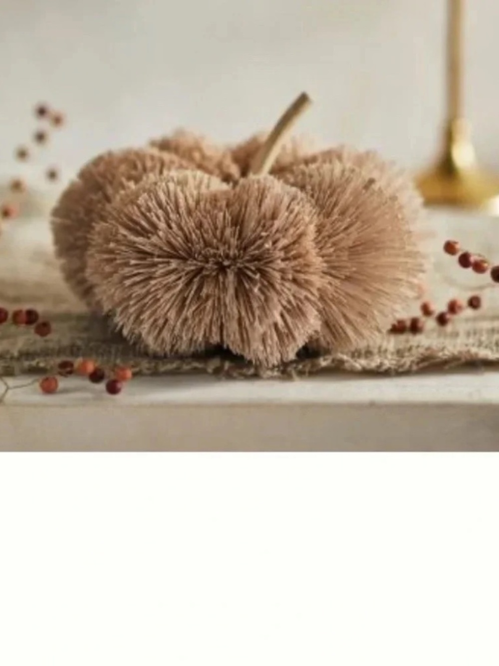 NWT ANTHROPOLOGIE TERRAIN  TAN  BRUSH BOTTLE PUMPKIN
